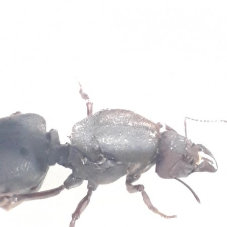VideoCapture_20220510-223520.jpg