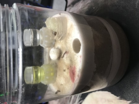 3847DDFA-3607-4171-94E8-9D0837009E57.jpeg