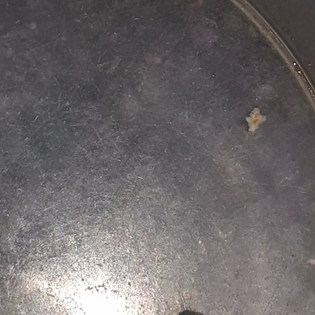 VideoCapture_20220602-111319.jpg