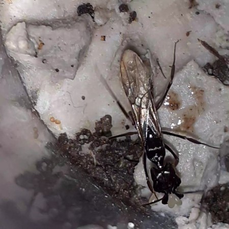 VideoCapture_20220620-191427.jpg