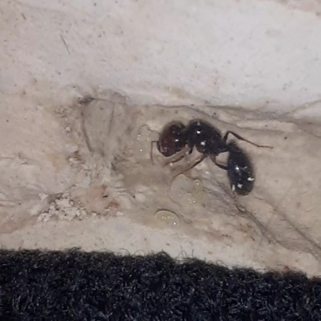 VideoCapture_20220629-221117.jpg