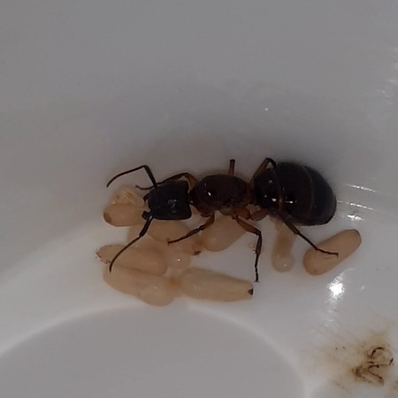 VideoCapture_20220706-003744.jpg