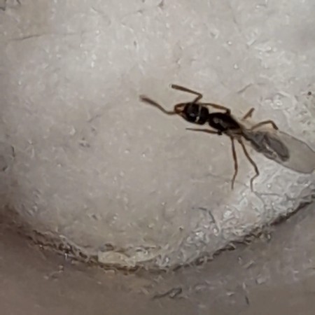 VideoCapture_20220805-204012.jpg