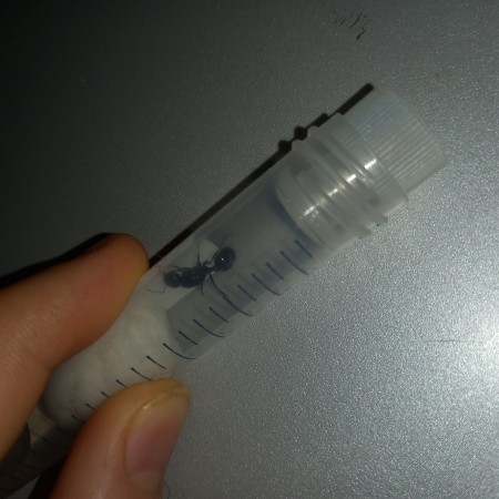 20220822_151813.jpg