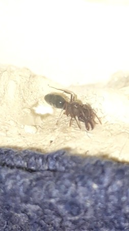 VideoCapture_20220930-030939.jpg