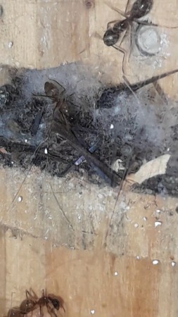 VideoCapture_20221025-133956.jpg