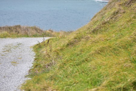 Hábitat