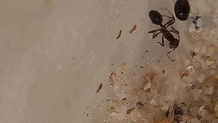20230803_181033.jpg