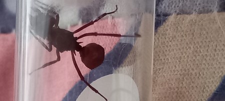 20231113_162406.jpg